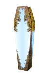 Expression Coffins