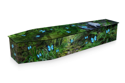 Butterfly Rainforest