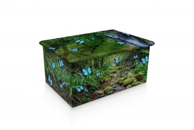 Butterfly Rainforest