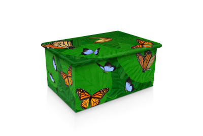 Leaves and Butterflies