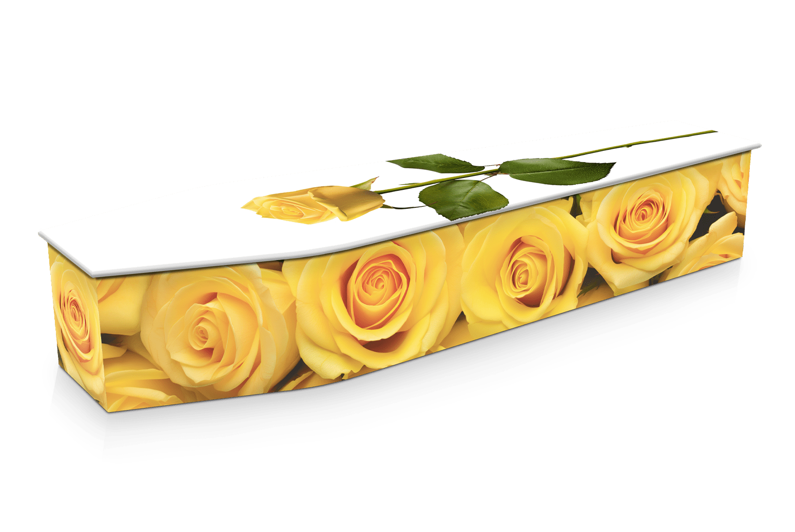Yellow Roses